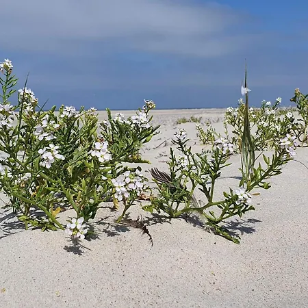 Luxury Retreat With Pool - By Traum