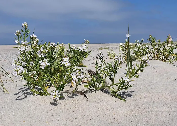 Luxury Retreat With Pool - By Traum