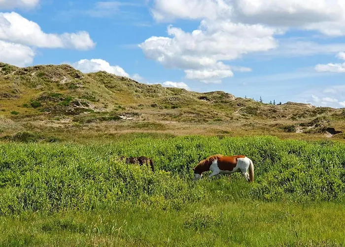 Holiday home Luxury Retreat With Pool - By Traum Norre Nebel